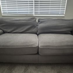 Two sofas, one large and one medium-sized