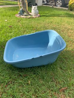 Cat litter and dog house