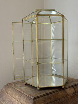 Glass Display Case Brass/Gold, Possibly terrarium!
