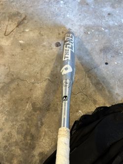 DeMarini The One