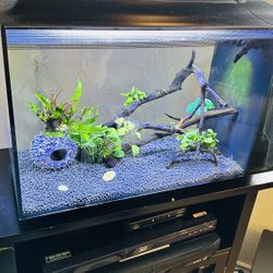 Fluval 16  Gallon Fish Tank 