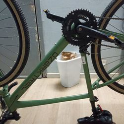 Ozark trail bike slap shift for the gears 100 bucks