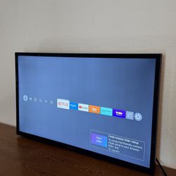 32” Insignia Smart HD TV – Fire TV Edition (NS-32DF310NA19)