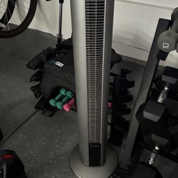 Laski 48” Tower fan