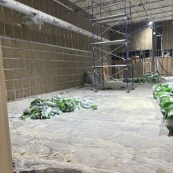 Scaffold 