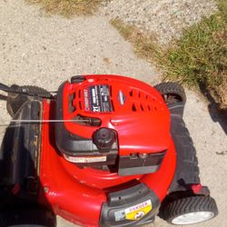 Troybuilt (Auto start)