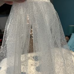 Wedding Veil 