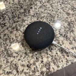 Google Nest Mini