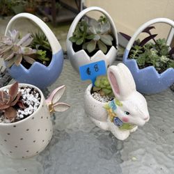 Easter Succulent Planters