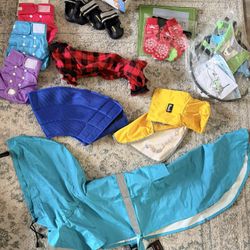 Large dog accessories bundle – all in great condition.
