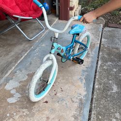 Bicicleta Frozen