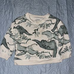 Dinosaurs Pullover Sweatshirt
