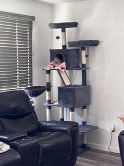70 inch cat tree