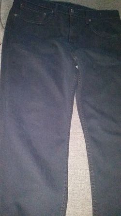 Levis pant