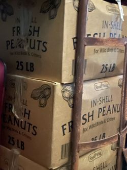 25 lbs. Fresh peanuts