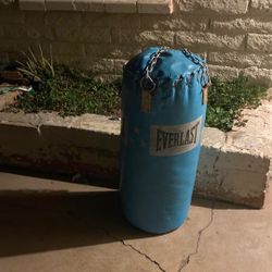 Everlast Punching Bag 