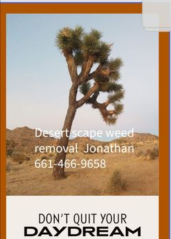 Weed removal desert scape