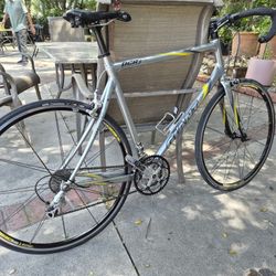 Giant XL FRAME ROADBIKE BICYCLE OCR2 GREAT SHAPE 