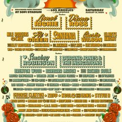 Fool In Love Festival VIP Wristbands (2)