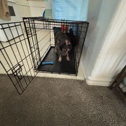 Cage