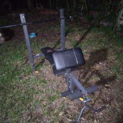 Weight Bench 