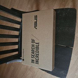 Asus Chromebook C204e