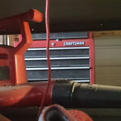 Electric Leaf blower 