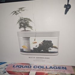 Desktop / Betta Aquarium Fish Tank