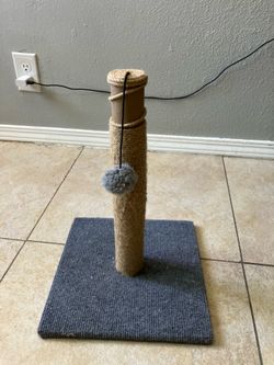 Cat scratch post