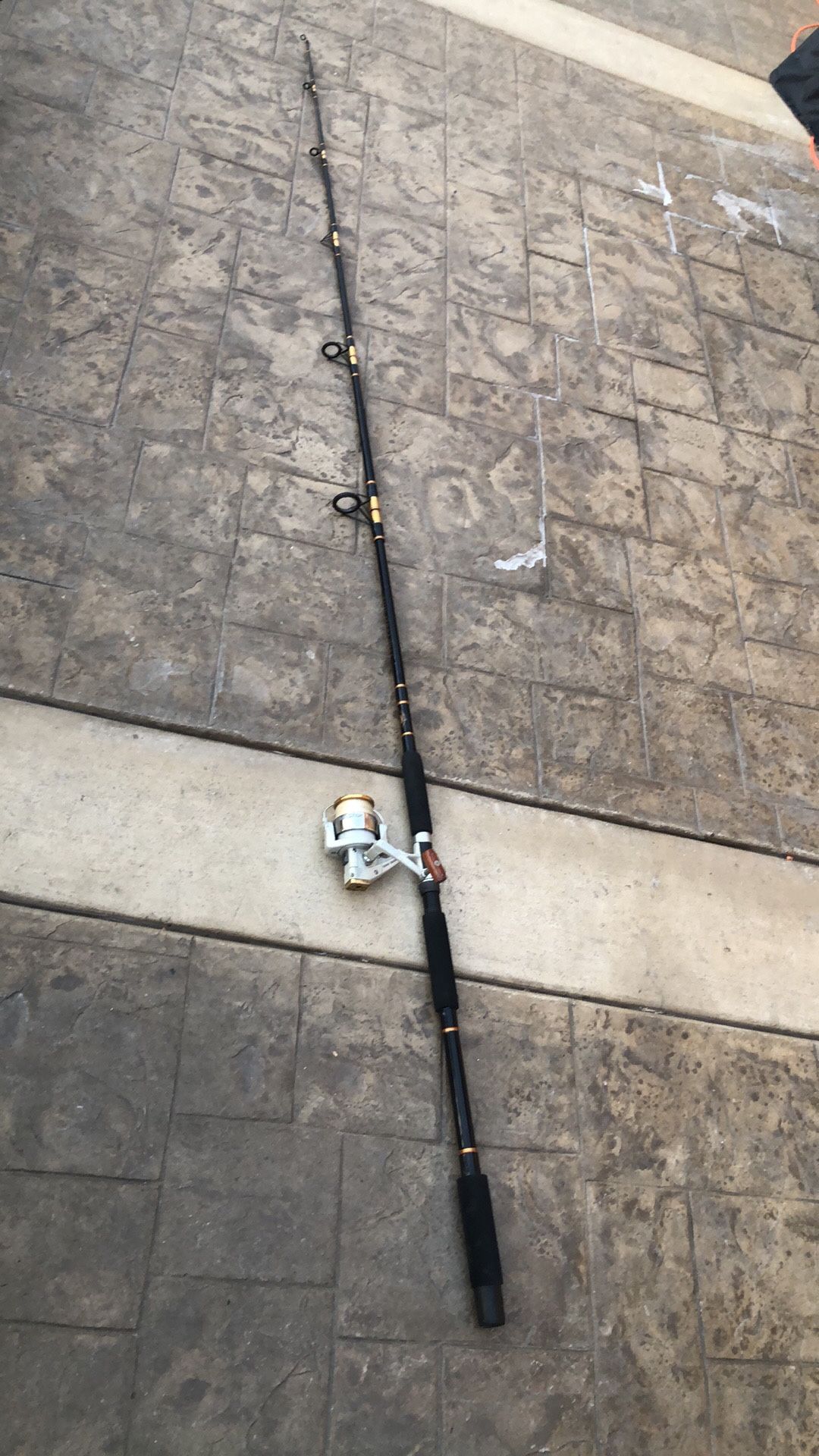 Fishing Rod