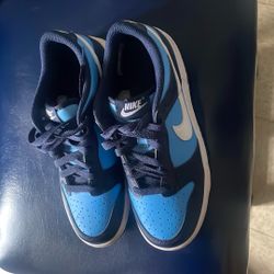 Nike Blue Dunks 