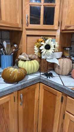 Halloween bundle