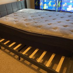 Free Mattresses 
