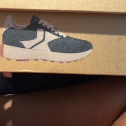 Brand New Steve Madden Woman’s Sneakers 