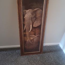 Elephant 🐘 Picture 