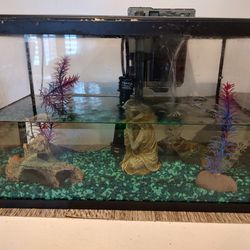 Free Fish Tank Setup