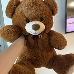 Medium Size Teddy Bear 