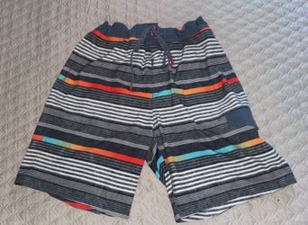 Speedo Men’s Ingrain Stripe E-Board Swim Shorts - Men’s Size Large (L)