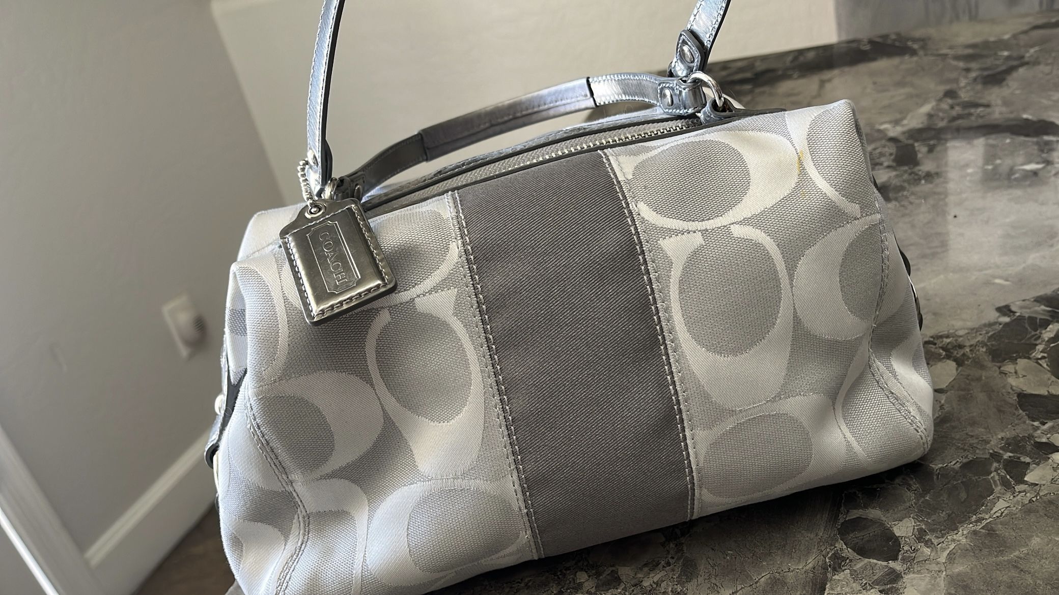 Silver Coach Purse
