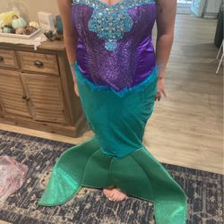 Adult mermaid costume
