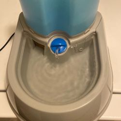 Pet Filtered Water Bowl 