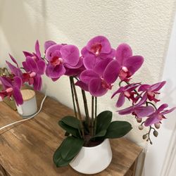 Faux Orchid in White Ceramic Pot – Gorgeous & Low Maintenance 