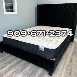 Queen Black Chanelle Wingback Platform Bed w. Orhopedic Mattress Included 