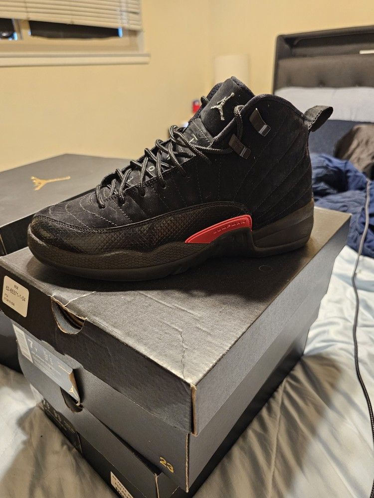 Air Jordan 12s