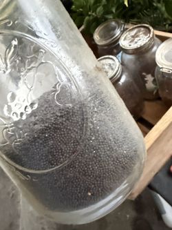 Micro Green Seeds