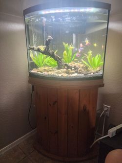 36 Gallon Top Fin Bowfront Tank