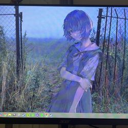 Acer monitor 