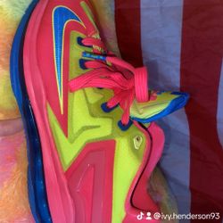 Nike LeBrons 
