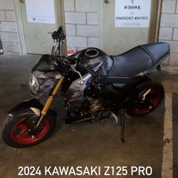 2024 Kawasaki z125 pro
