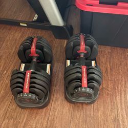 Bowflex weight set